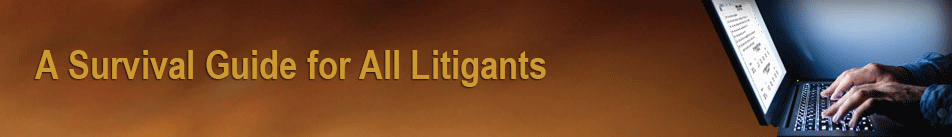 A Survival Guide for All Litigants